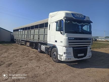 Перевозка коров, быков, телят, нетеля и тд