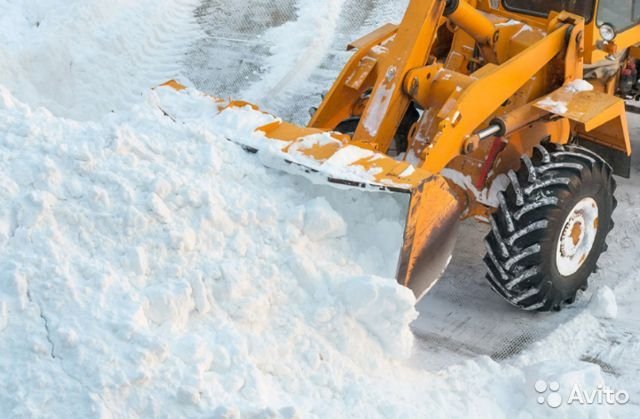Валка деревьев, корчёвка участков трактором JCB, за 5 минут