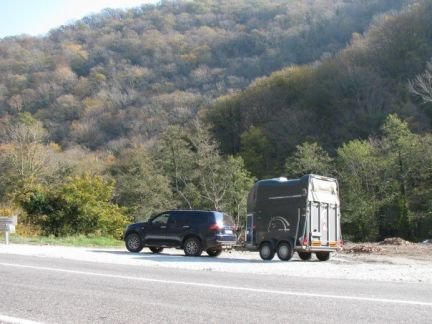 Коневоз, скотовоз, конеперевозки по городу и РФ