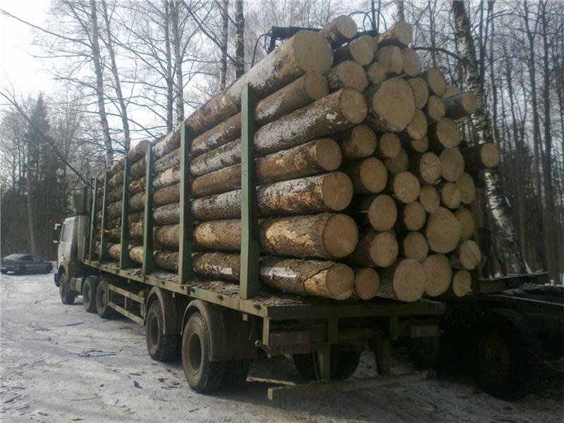 Перевозка пиловочника, доски лесовозом с фишкой
