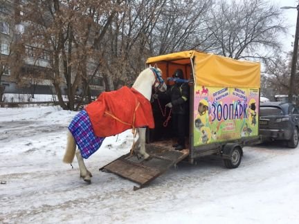 Коневоз, скотовоз от собственника лицо