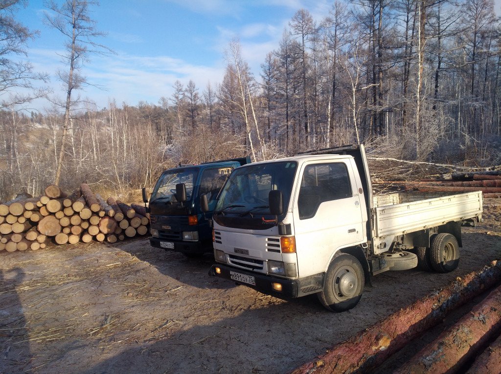Грузоперевозки вывоз мусора гравий пгс уголь дрова