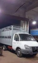 Быстрая перевозка и доставка лошадей