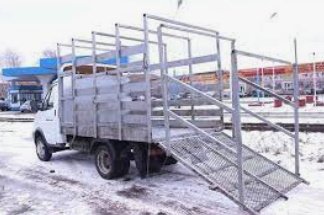 Доставка и перевозка крупного рогатого скота