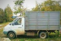 Выполняем перевозку лошадей