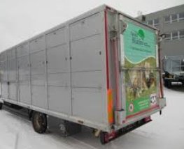 Транспортная перевозка коней, овец