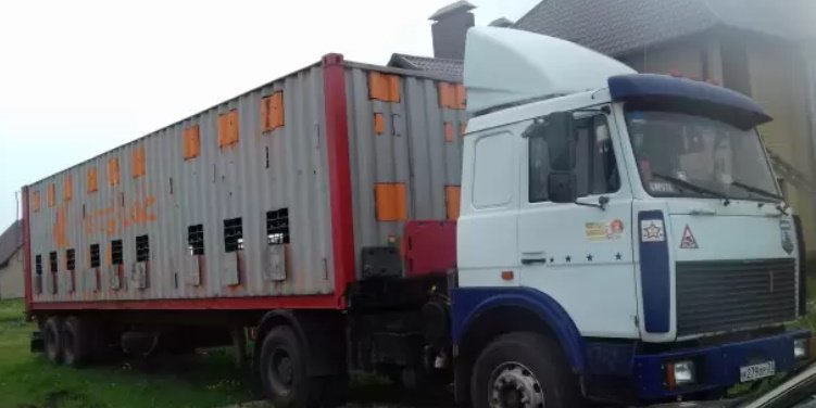 Перевозка коней по городу и области