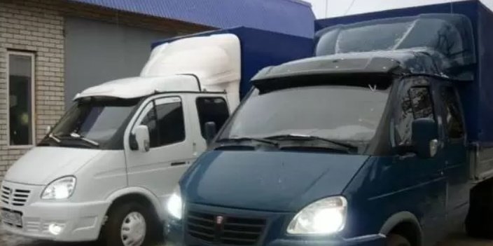 Аккуратные перевозки лошадей и других животных