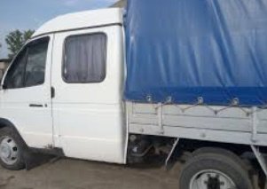 Быстрая и качественная перевозка лошади