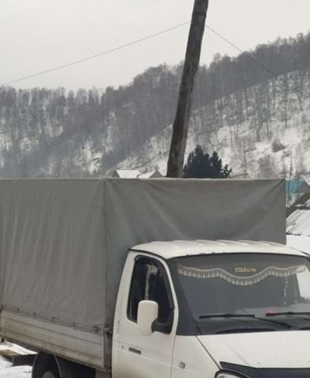 Грузоперевозки корма на ГАЗели