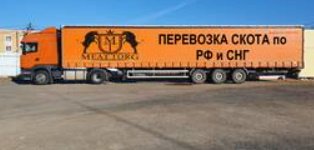 Перевозки лошадей в больших объемах