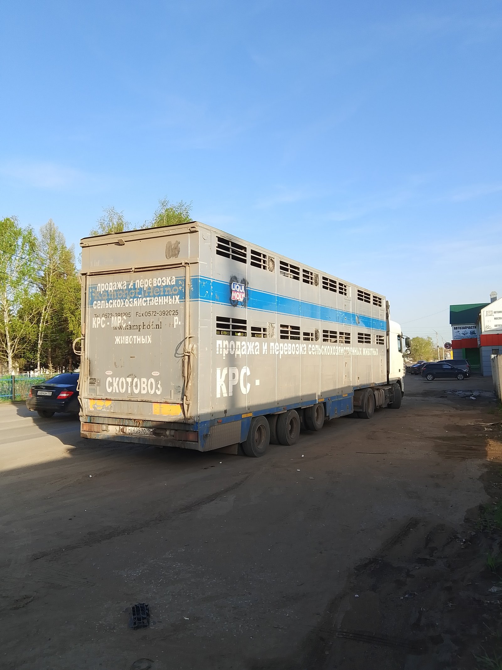 Грузоперевозки, доставка животных