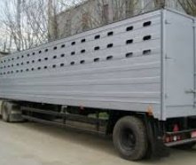 Качественная и быстрая перевозка коней