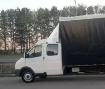 Предоставляем услуги перевозки коней