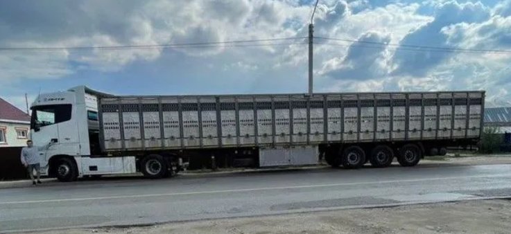Транспортировка животных на скотовозах