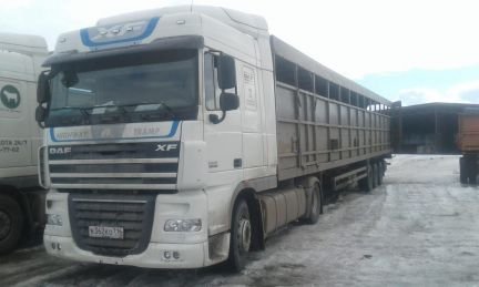 Услуги по перевозки скота