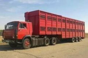 Перевозка сельскохозяйственных животных