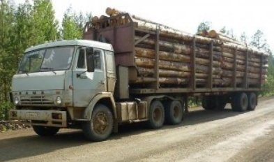 Грузоперевозка лесов по низкой цене