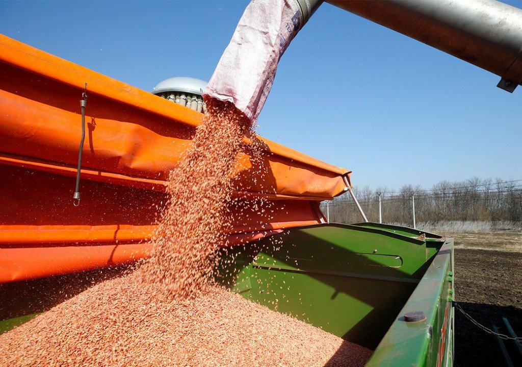 Оказываем услуги грузоперевозок сельхозпродукции