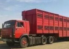 Аккуратные и бережные перевозки скота