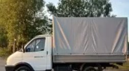 Перевозка быков, овец, коз