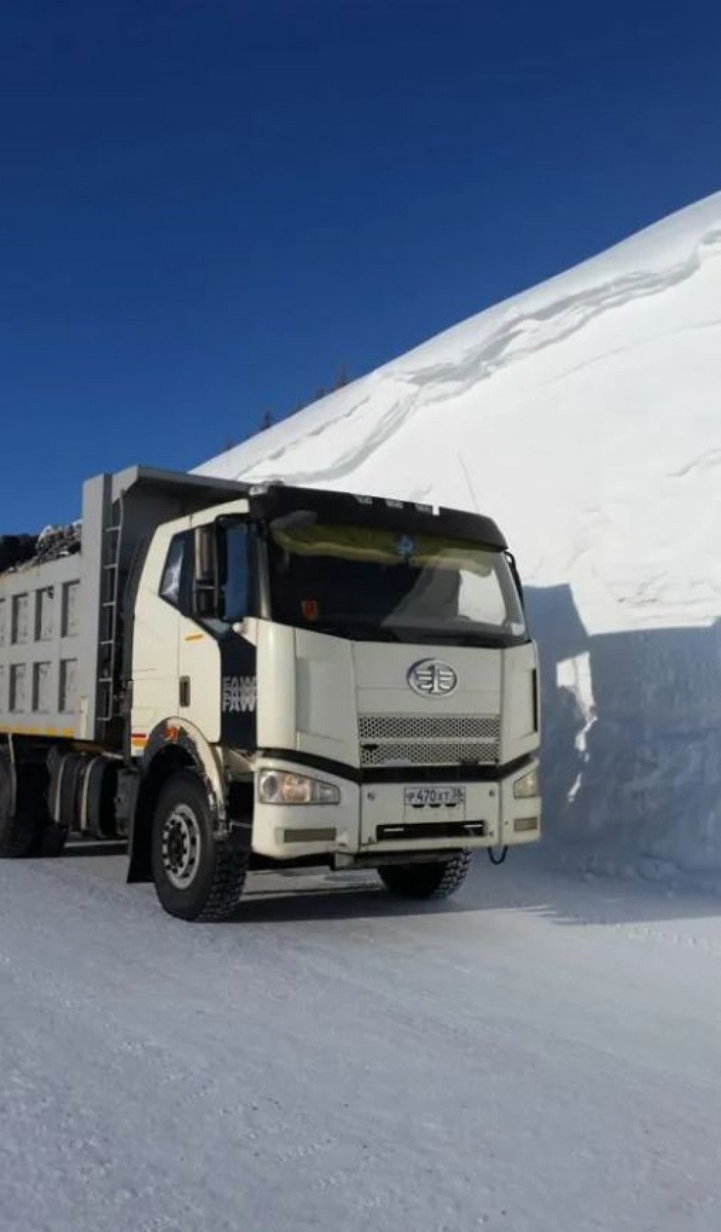 Грузоперевозки более 20 тонн, доставка щепы