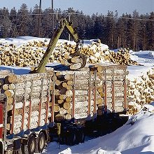 Аренда лесовоза Урал