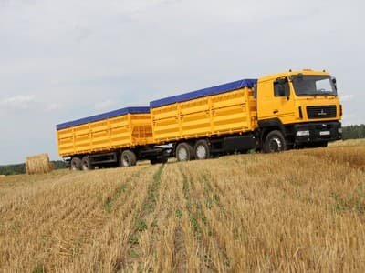 Грузоперевозки зерновозом
