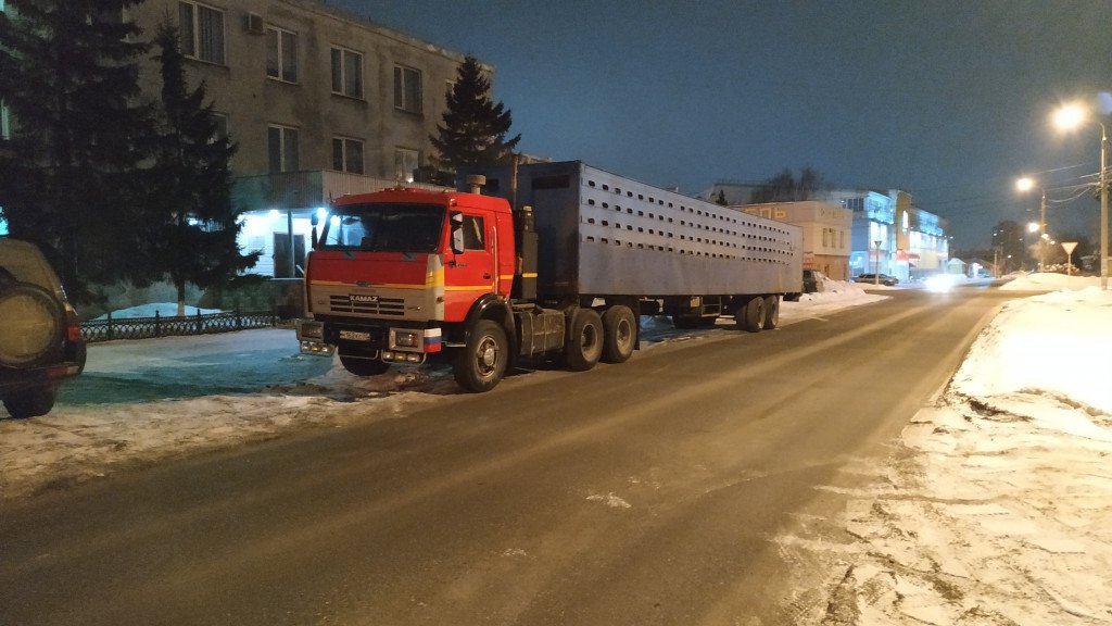 Перевозка Скота (КРС, лошадей, свиней)
