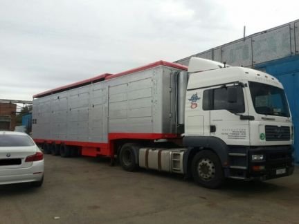 Скотовоз перевозка Крс, Мрс, овец, свиней