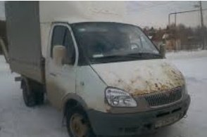 Доставка лошадей по городу и области