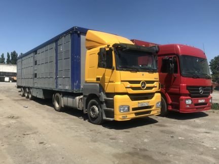 Услуги скотовоз от собственника