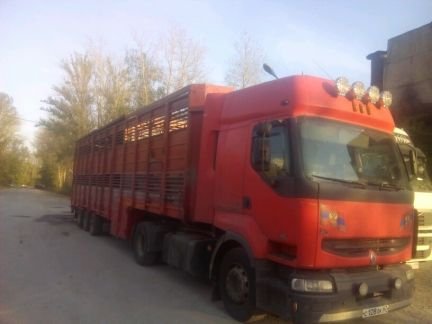 Перевозка животных скота по России