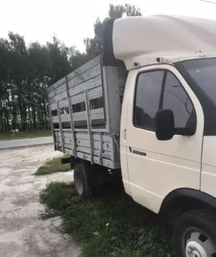 Осуществляем перевозку животных