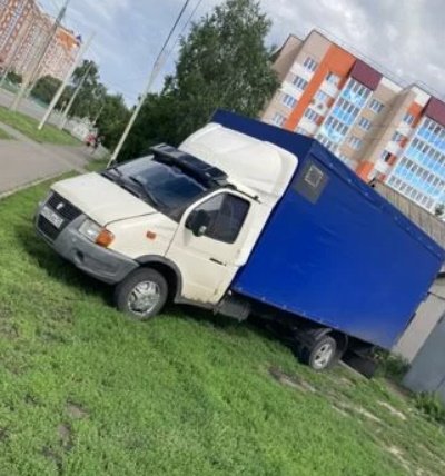 Перевозка лошадей по Мордовии