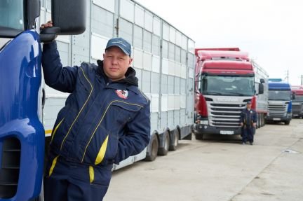 Услуги скотовоза от собственника империя