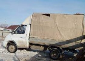 Перевозка лошадей на газели