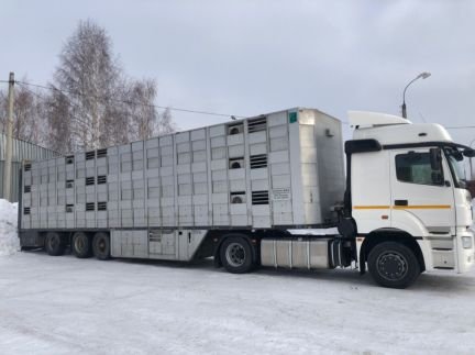 Трехэтажный скотовоз от собственника