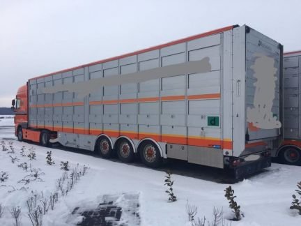 Перевозка животных скотовозами