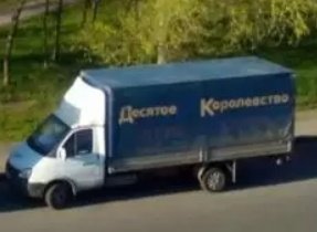 Быстрая доставка лошадей и коней