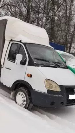 Оказываем услуги по перевозке животных