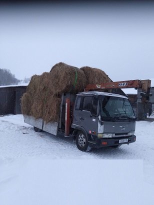 Услуги крана манипулятора эвакуатора