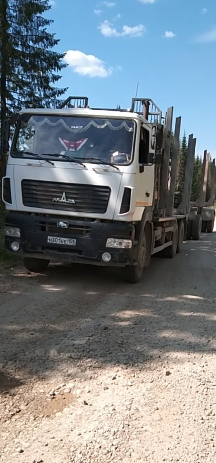 Услуги лесовоза с манипулятором. Лесовоз в аренду