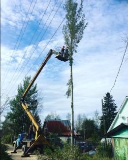 Спил деревьев и веток