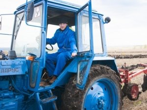 Аренда мини погрузчика с экипажем