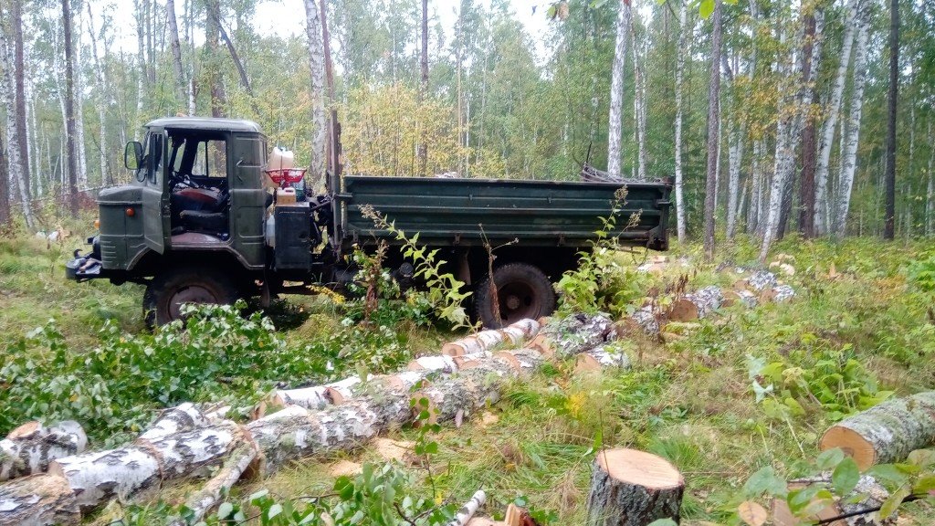 Доставка самосвалом Газ-САЗ 3511 инертных материалов и дров