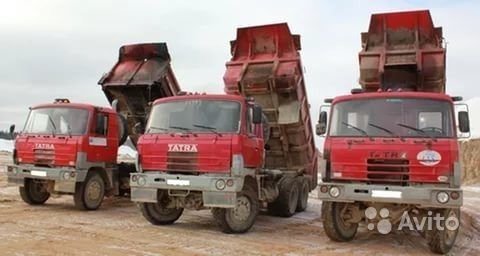 Сдаем в аренду