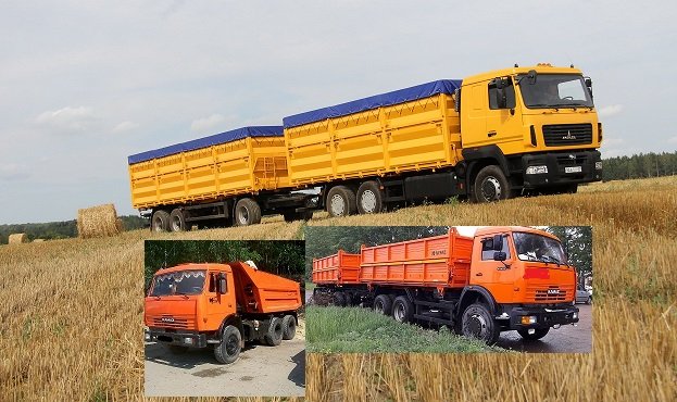 Грузоперевозки зерна, угля и др услуги самосвала
