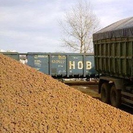 Аренда: Самосвалы в Новоульяновск