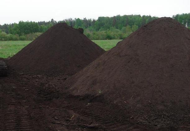 Доставка чернозема. Услуги самосвала